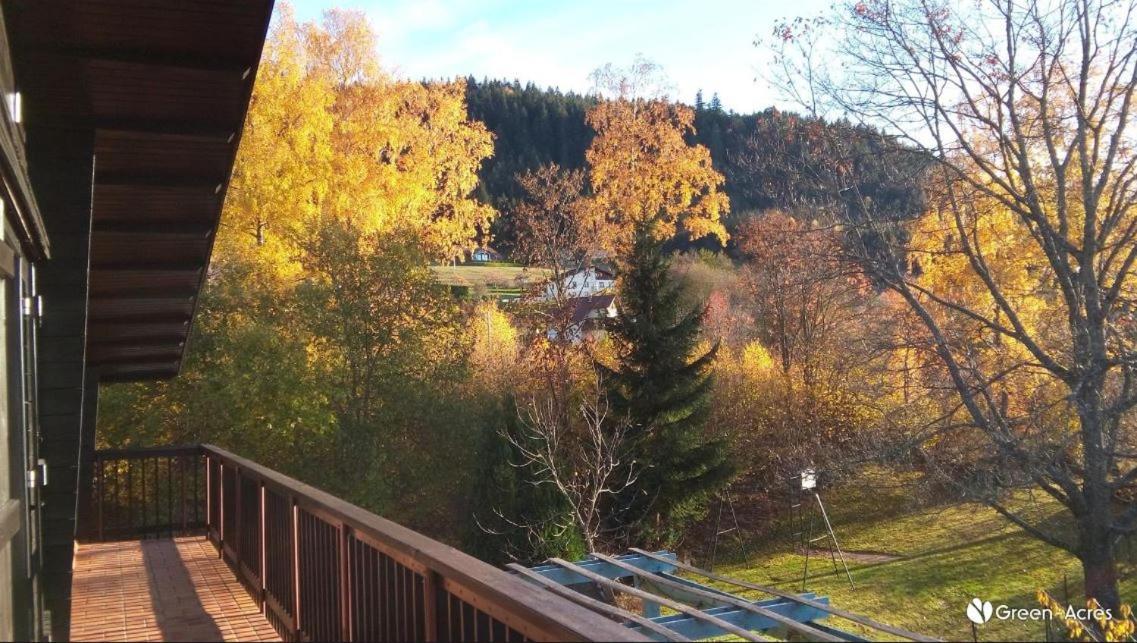 Chalet Les Chardons Gérardmer Exterior photo
